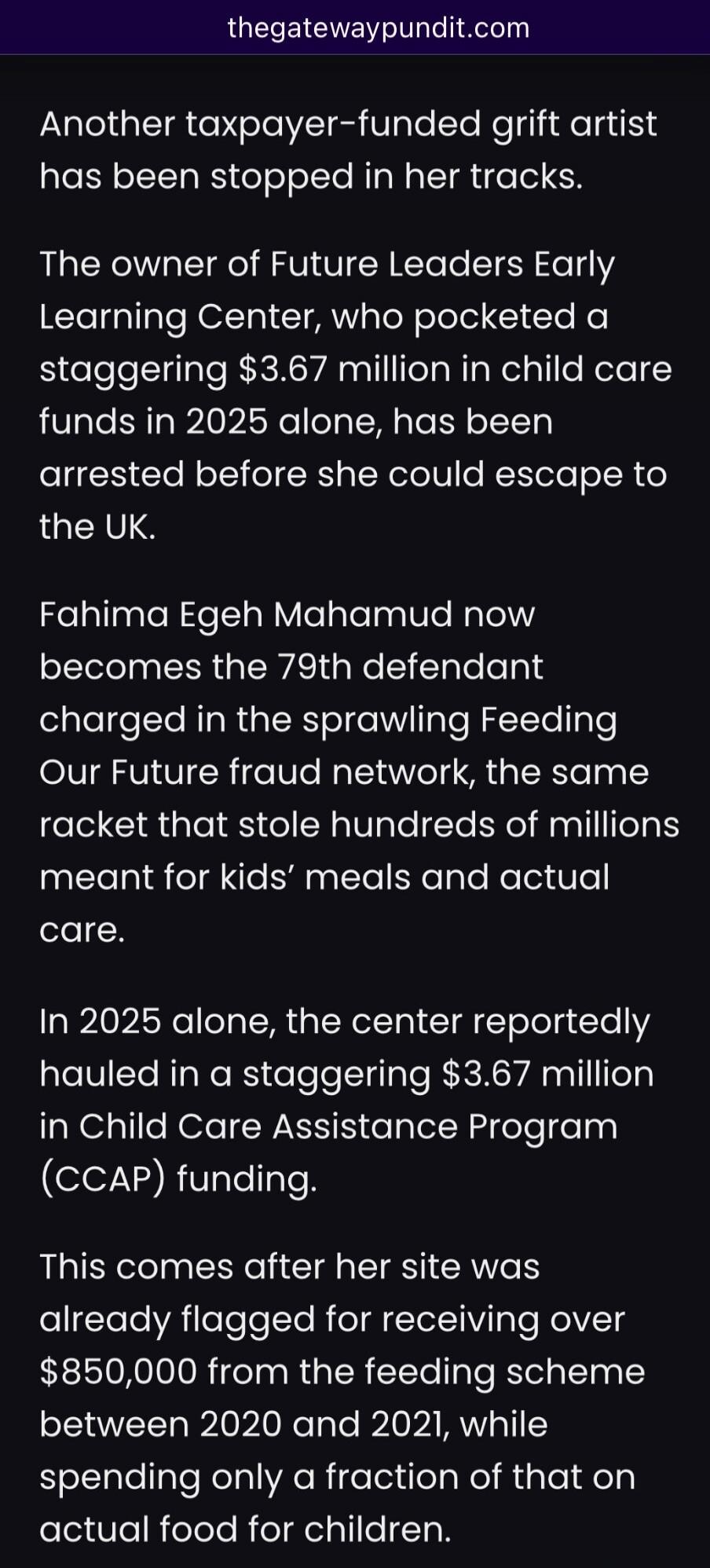 Another taxpayer-funded grift artist has been stopped in her tracks.

The owner of Future Leaders Early Learning Center, who pocketed a staggering $3.67 million in child care funds in 2025 alone, has been arrested before she could escape to the UK.

Fahima Egeh Mahamud now becomes the 79th defendant charged in the sprawling Feeding Our Future fraud