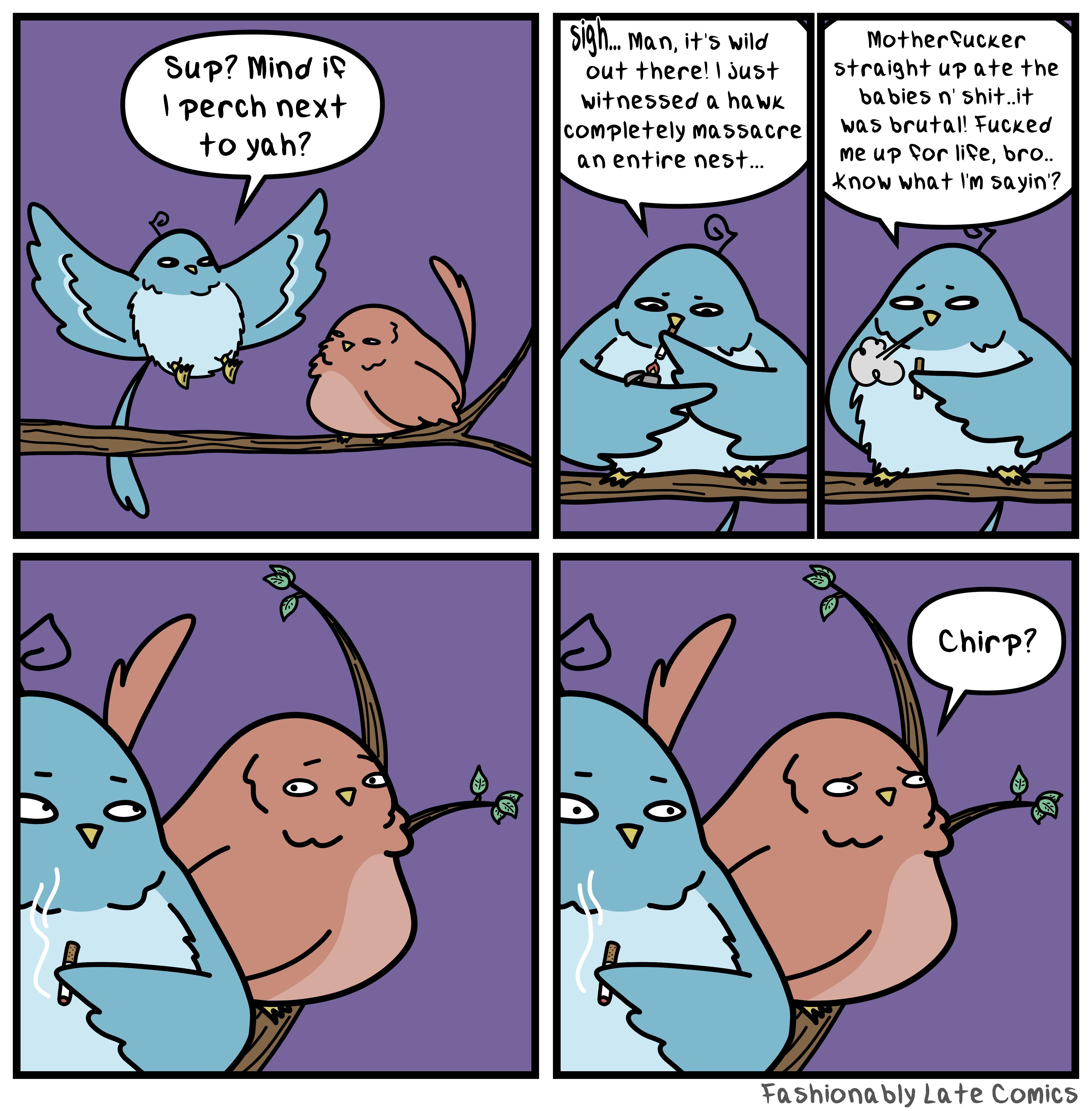 Sup Mind I8 1 perch next