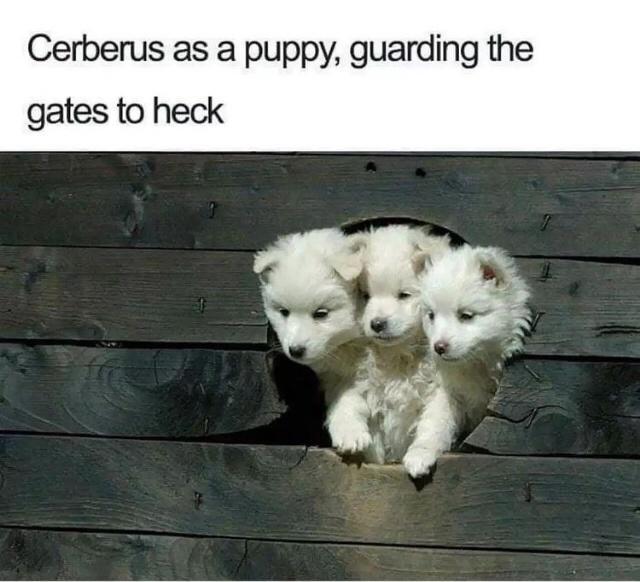 Cerberus as a puppy guarding the gates to heck