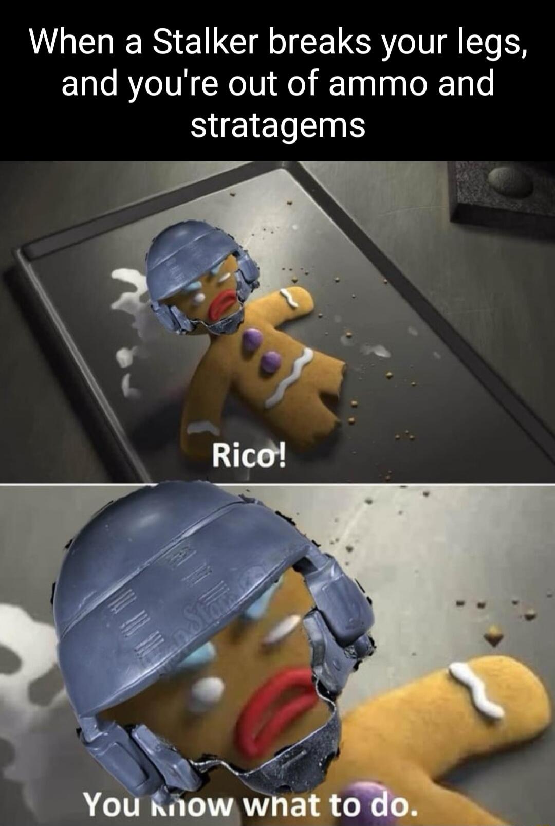 When a Stalker breaks your legs and youre out of ammo and stratagems