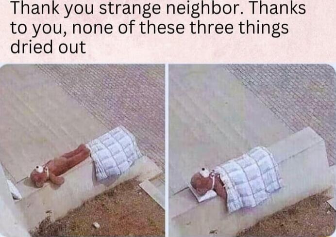 Thank you strange neighbor Thanks to you none of these three things dried out