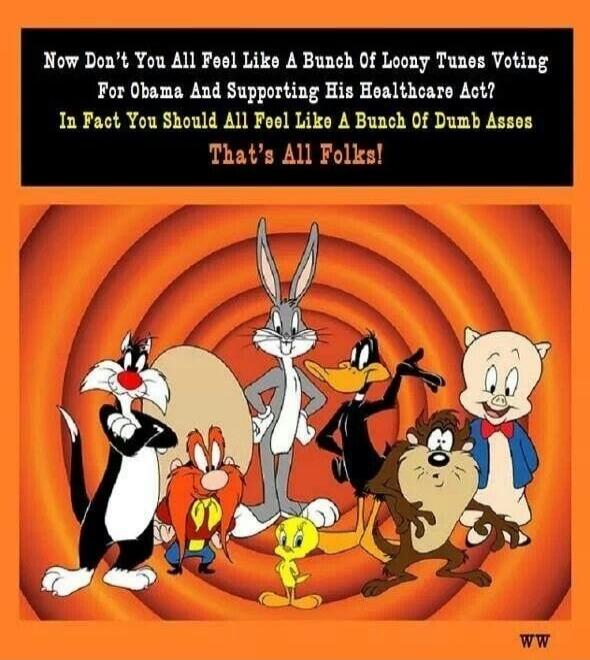 Now Don't You All Feel Like A Bunch Of Loony Tunes Voting For Obama And Supporting His Healthcare Act? In Fact You Should All Feel Like A Bunch Of Dumb Asses That's All Folks!
