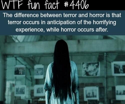 WTF tun foct 440kb The difference between terror and horror is that terror occurs in anticipation of the horrifying experience while horror occurs after Ty _wm lP