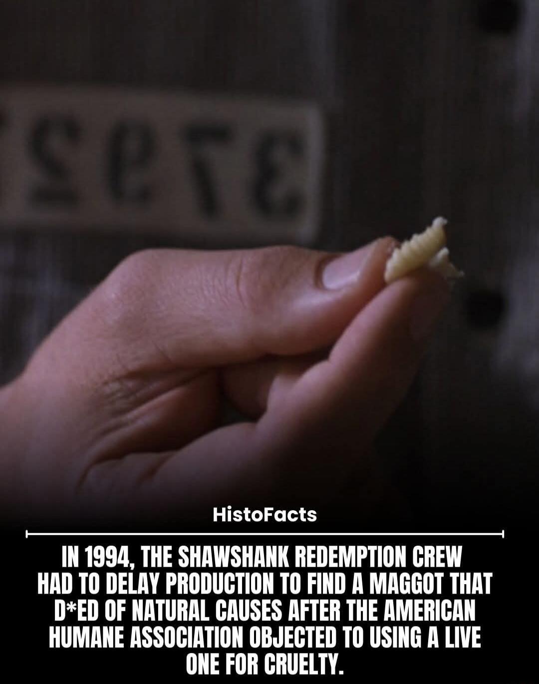 IN 1994, THE SHAWSHANK REDEMPTION CREW HAD TO DELAY PRODUCTION TO FIND A MAGGOT THAT DIED OF NATURAL CAUSES AFTER THE AMERICAN HUMANE ASSOCIATION OBJECTED TO USING A LIVE ONE FOR CRUELTY.