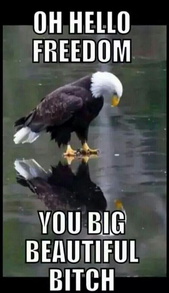 OH HELLO FREEDOM YOU BIG BEAUTIFUL BITCH