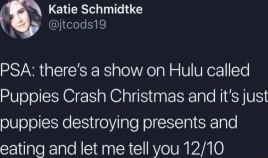 LENERI G y jtcods19 PSA theres a show on Hulu called Puppies Crash Christmas and its just puppies destroying presents and eating and let me tell you 1210