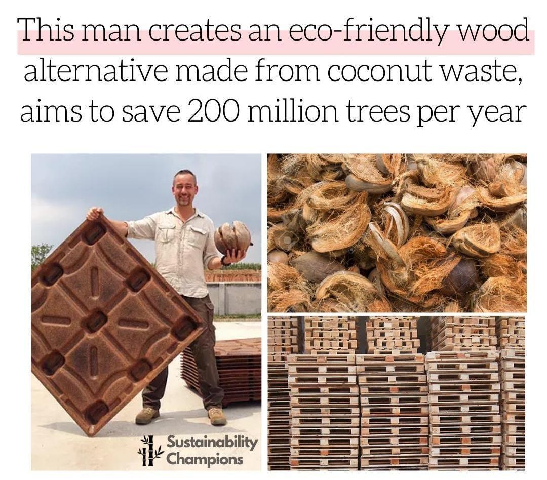 This man creates an eco friendly wood alternative made from coconut waste aims to save 200 million trees per year A Sustainability EHChampions
