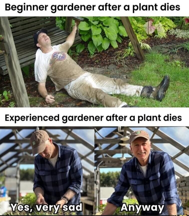 Beginner gardener after a plant dies. Experienced gardener after a plant dies. Yes, very sad. Anyway.