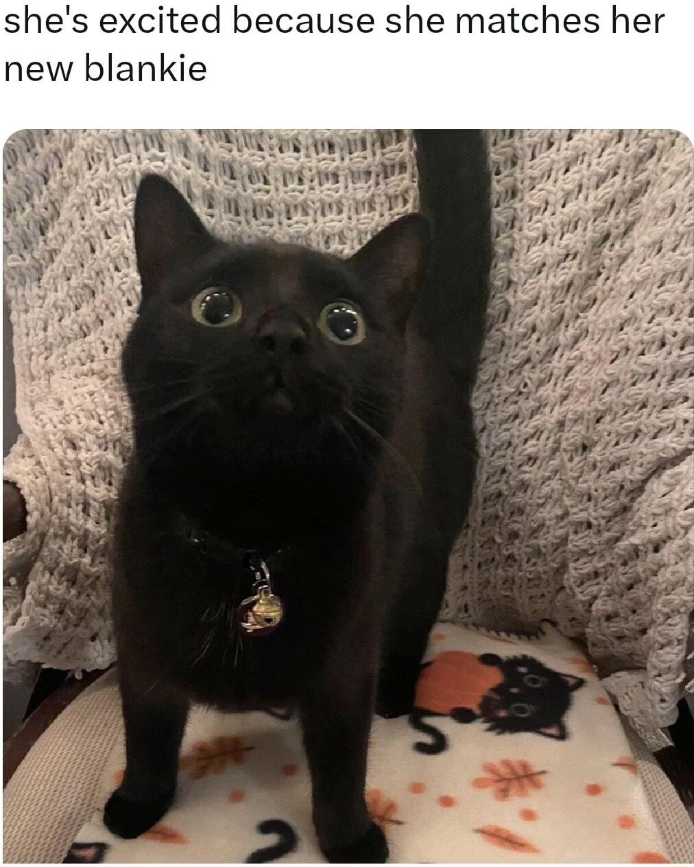 shes excited because she matches her new blankie