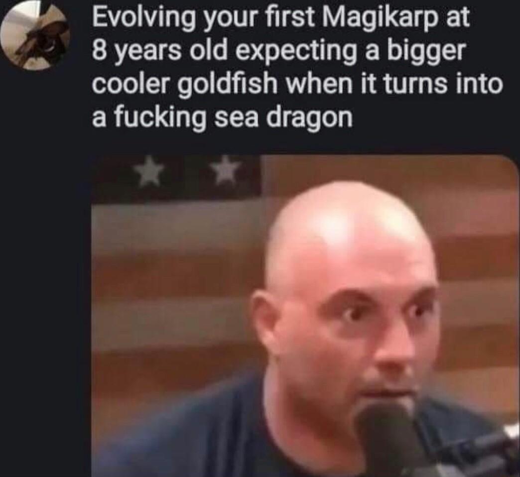 Evolving your first Magikarp at 8 years old expecting a bigger cooler goldfish when it turns into a fucking sea dragon