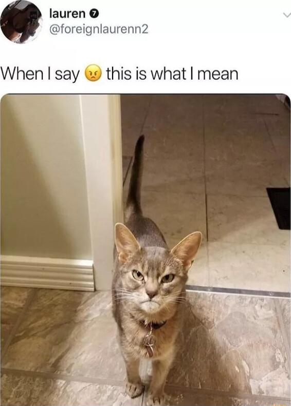 lauren foreignlaurenn2 When say this is what mean