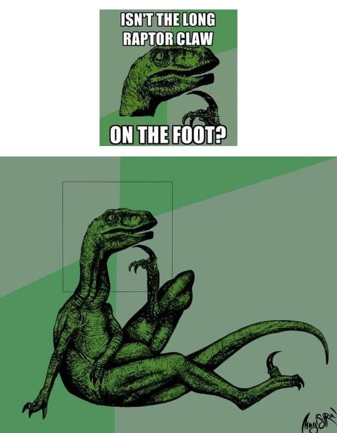ISNTITHELONG RAPTORCLAW ON THEFOOT2