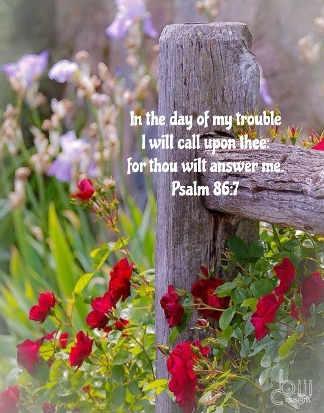 In the day of my trouble I will call upon thee. for thou wilt answer me. Psalm 86:7
