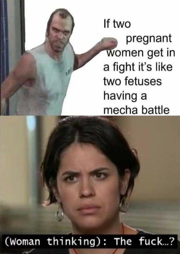 If two pregnant women get in a fight its like two fetuses having a mecha battle woman thinking The fuck