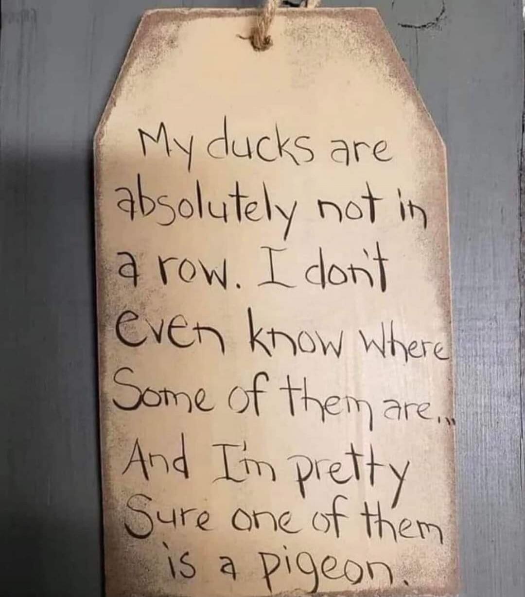 My ducks are absolutely not in a row. I don't even know where some of them are... And I'm pretty sure one of them is a pigeon.