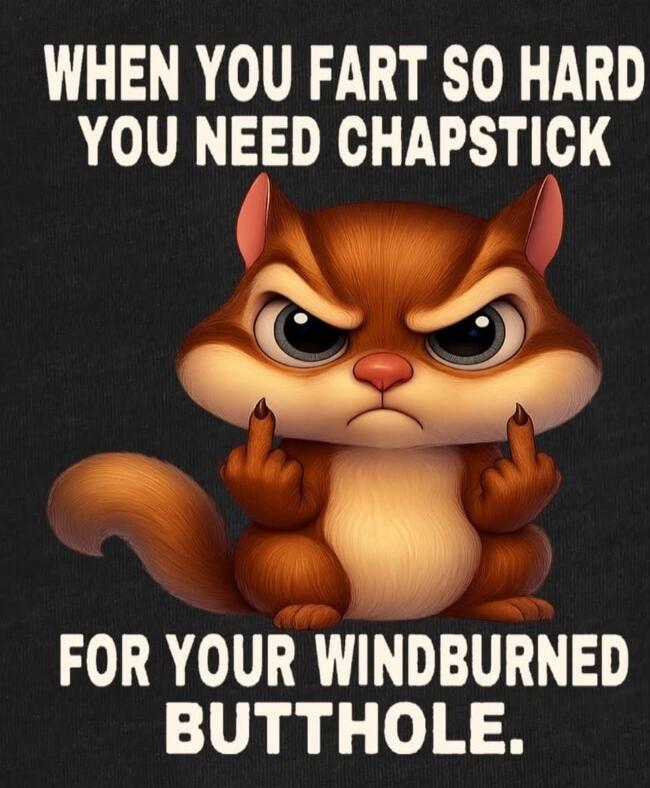 WHEN YOU FART SO HARD YOU NEED CHAPSTICK FOR YOUR WINDBURNED BUTTHOLE.