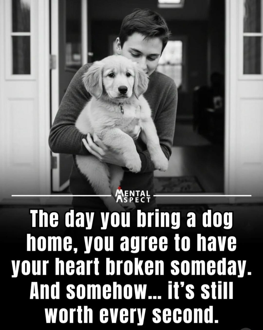 The day you bring a dog home, you agree to have your heart broken someday. And somehow... it's still worth every second.