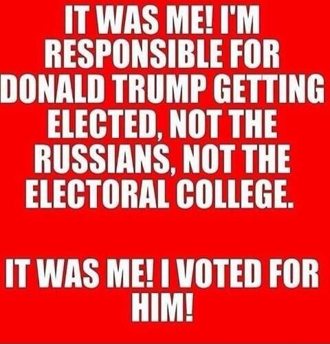 IT WAS ME! I'M RESPONSIBLE FOR DONALD TRUMP GETTING ELECTED, NOT THE RUSSIANS, NOT THE ELECTORAL COLLEGE. IT WAS ME! I VOTED FOR HIM!
