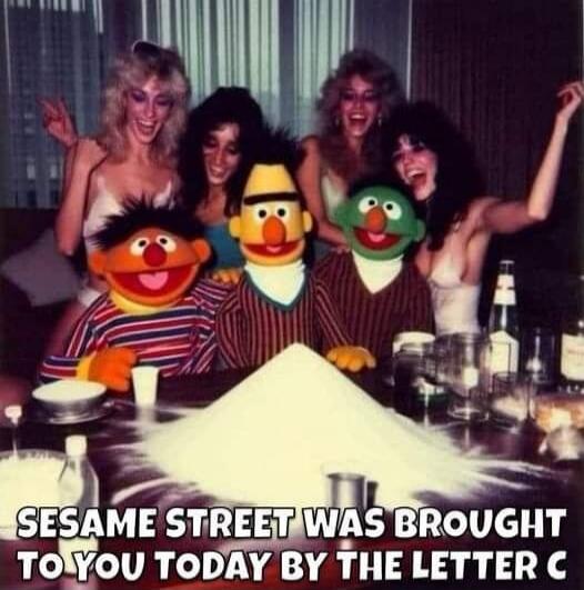 SESAME STREET WAS BROUGHT TO YOU TODAY BY THE LETTER C