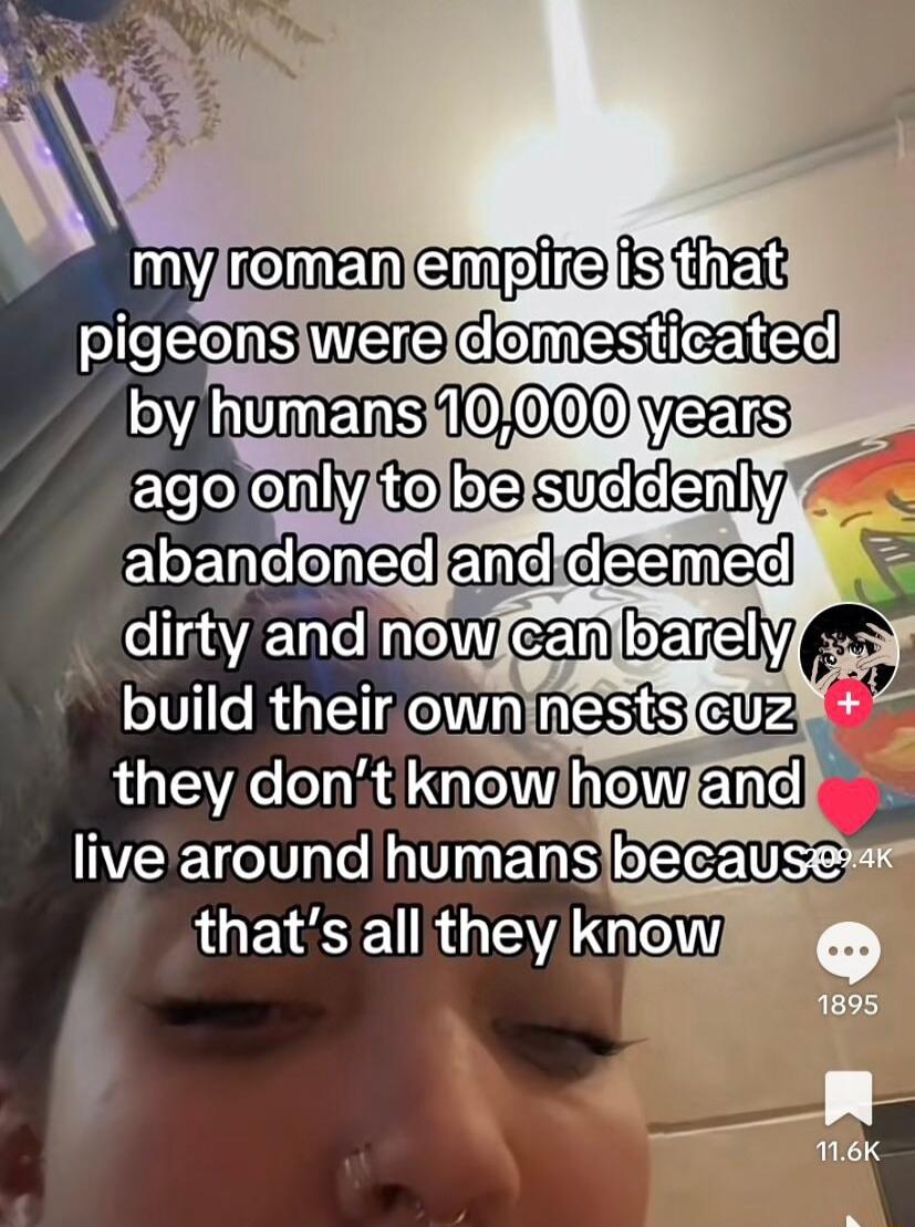 dirty and new build theirown m i i