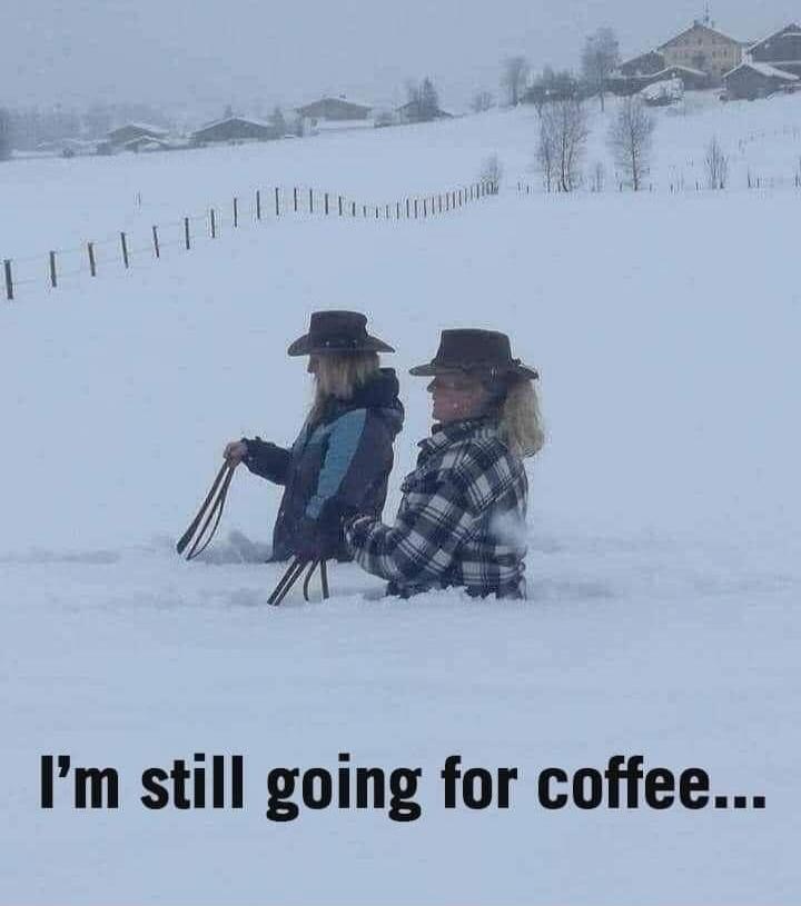I'm still going for coffee...