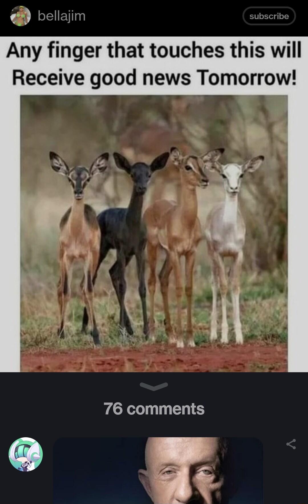 bellajim Any finger that touches this will Receive good news Tomorrow 76 comments o A