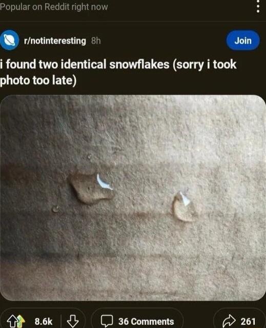 lar on Reddit right n W rnotinteresting Join i found two identical snowflakes sorry i took photo too late