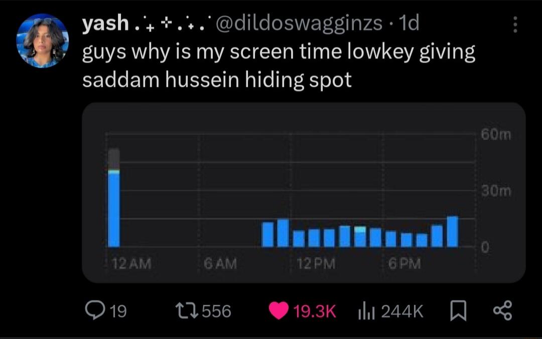 yash dildoswagginzs 1d 7 guys why is my screen time lowkey giving saddam hussein hiding spot O19 1556 193k 1244k