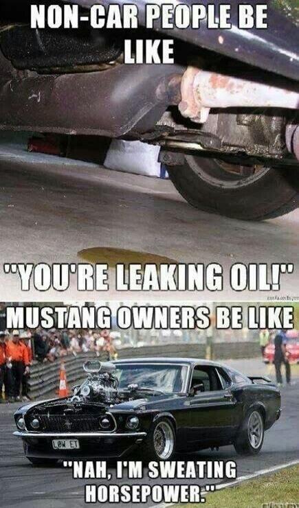 NON-CAR PEOPLE BE LIKE 
