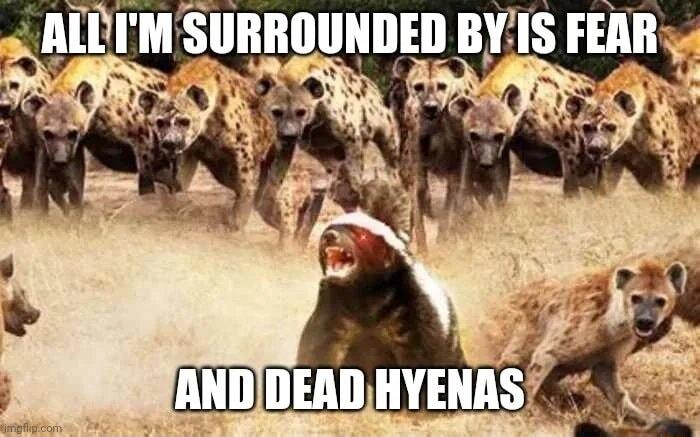 N AN L nmh HYENAS
