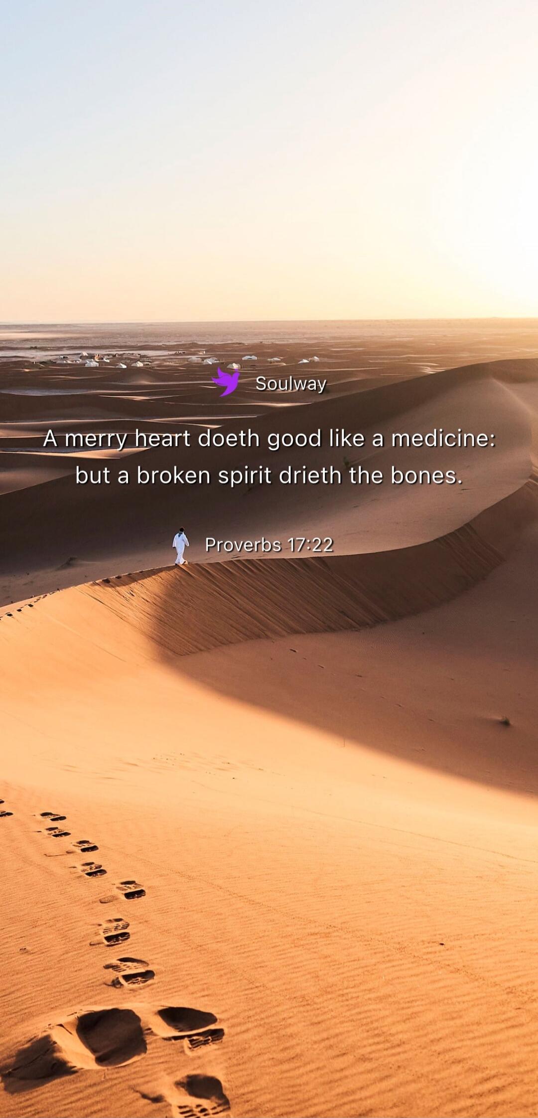 Soulway A merry heart doeth good like a medicine: but a broken spirit drieth the bones. Proverbs 17:22