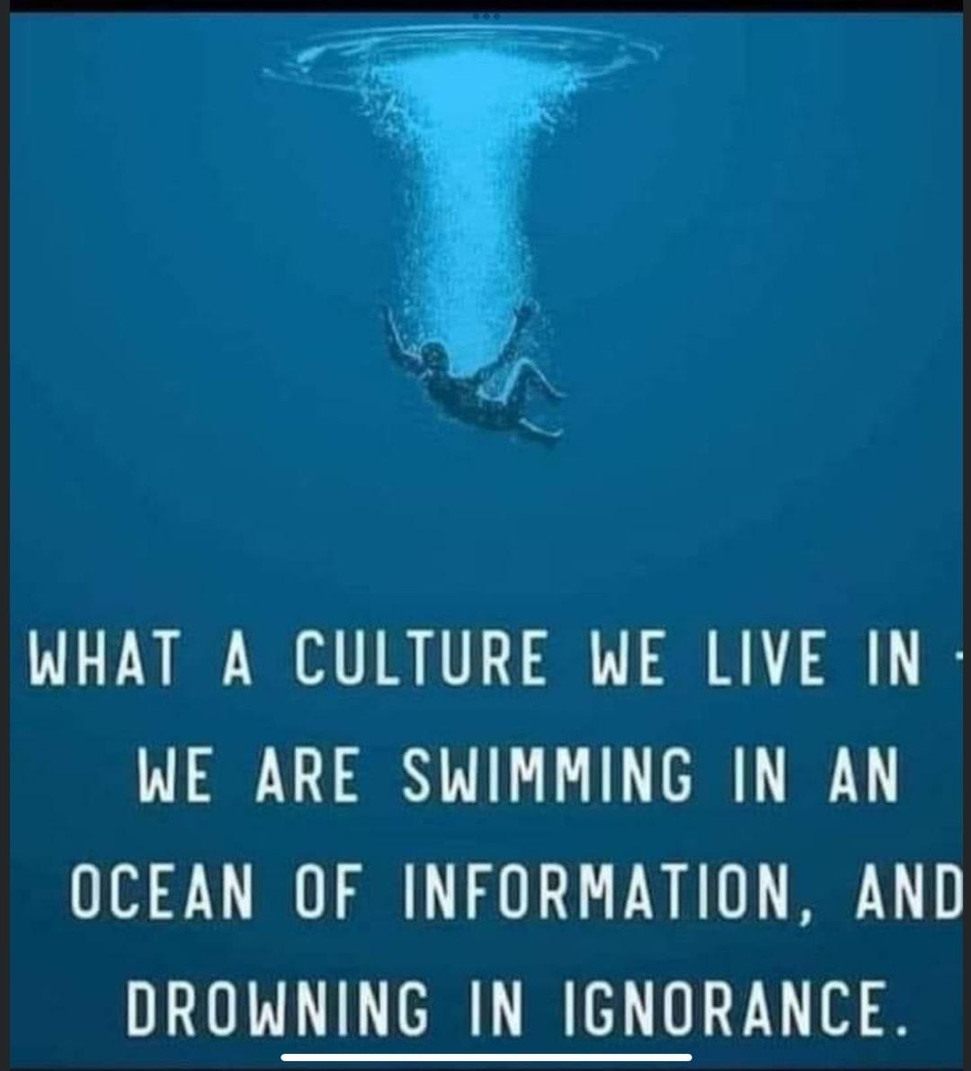 WHAT A CULTURE WE LIVE IN WE ARE SWIMMING IN AN OCEAN OF INFORMATION AND DROWNING IN IGNORANCE