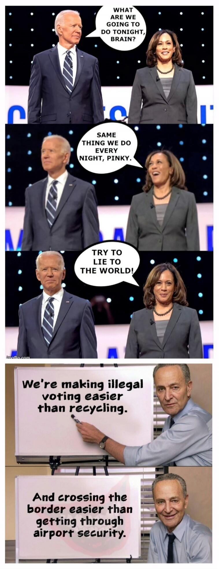 What are we going to do tonight, Brain? Same thing we do every night, Pinky. Try to lie to the world! We're making illegal voting easier than recycling. And crossing the border easier than getting through airport security.