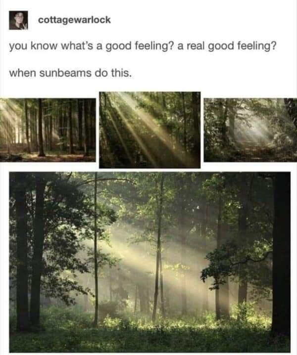 cottagewarlock you know whats a good feeling a real good feeling when sunbeams do this