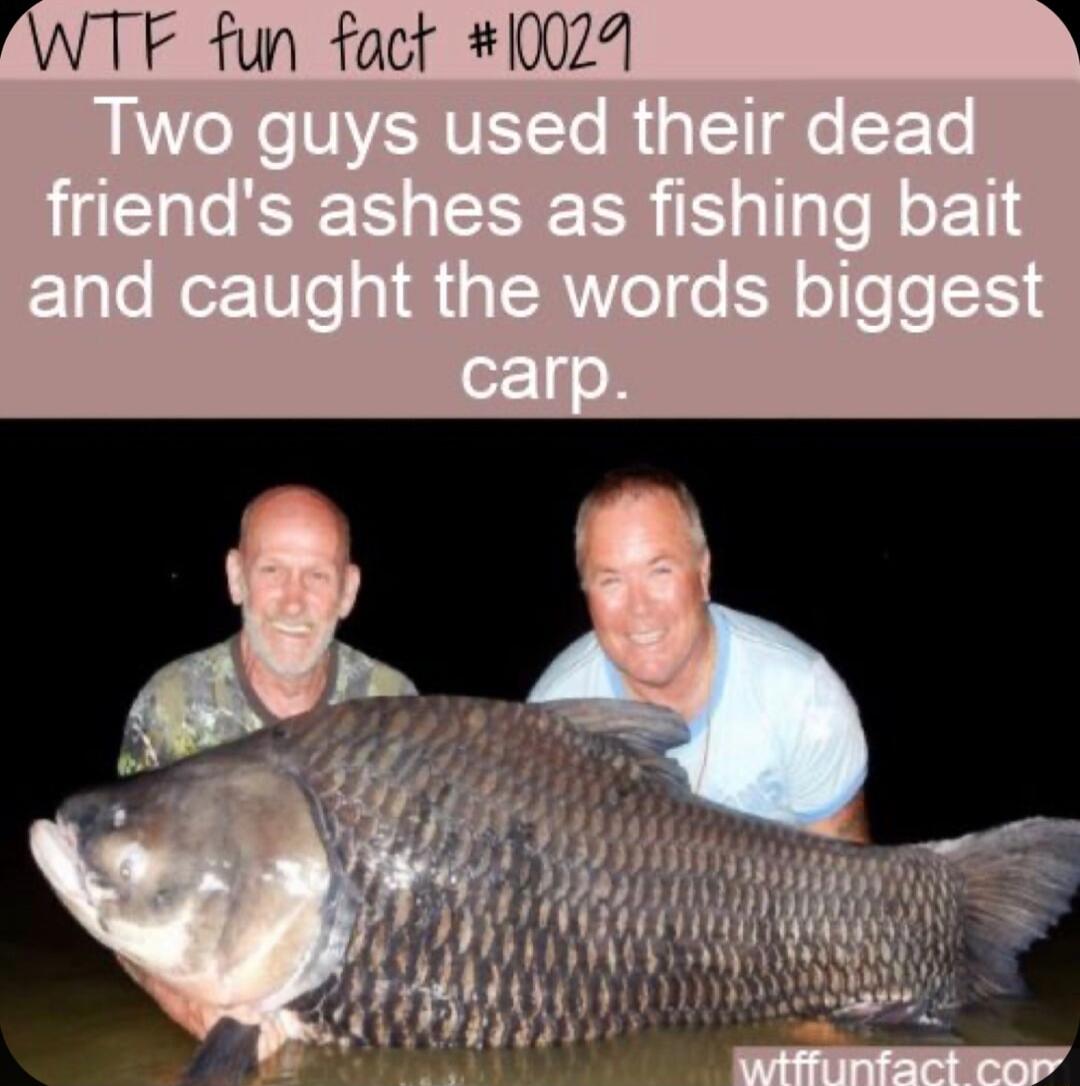 WTF fun fact 1002 b