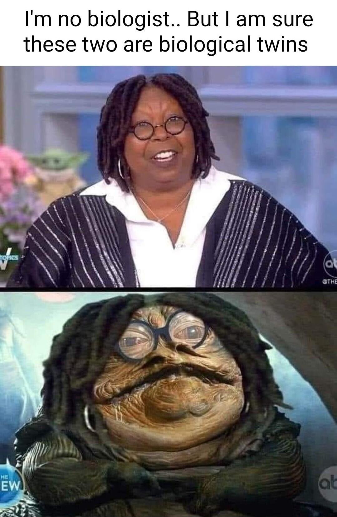 Im no biologist But am sure these two are biological twins