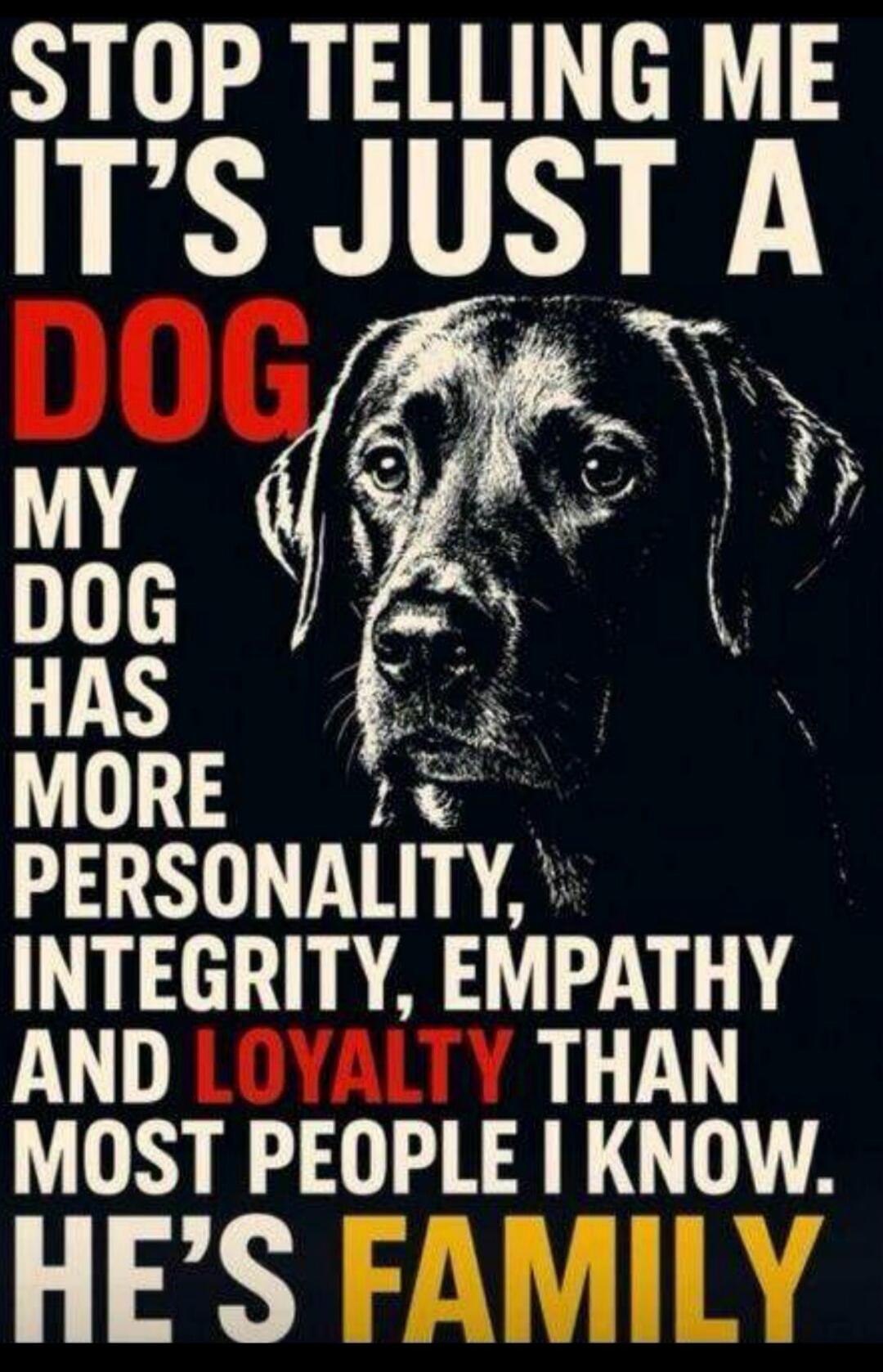 STOP TELLING ME IT'S JUST A DOG. MY DOG HAS MORE PERSONALITY, INTEGRITY, EMPATHY AND LOYALTY THAN MOST PEOPLE I KNOW. HE'S FAMILY.