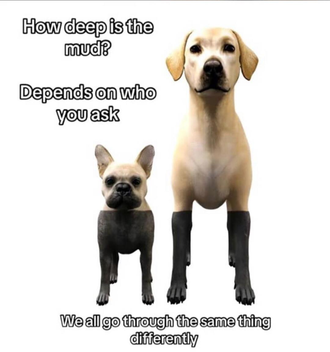 How deep is the mud? Depends on who you ask We all go through the same thing differently