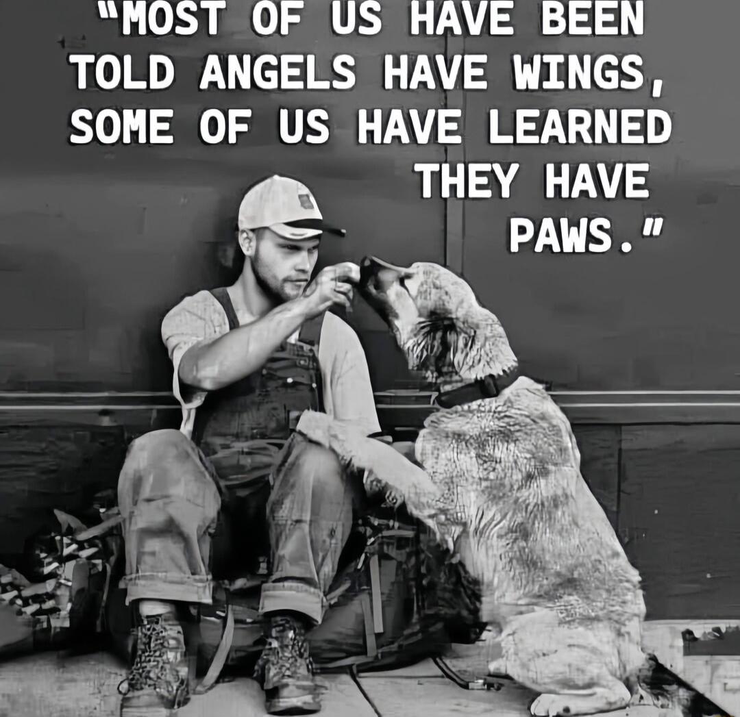 HOST OF US HAVE BEEN TOLD ANGELS HAVE WINGS SOME OF US HAVE LEARNED THEY HAVE