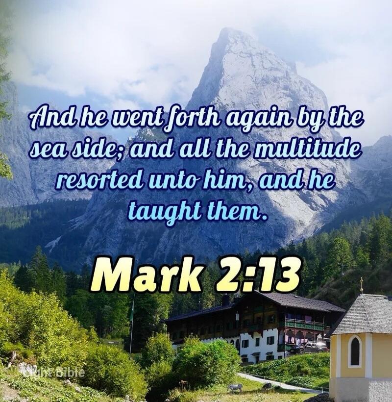 And he went forth again by the sea side; and all the multitude resorted unto him, and he taught them. Mark 2:13