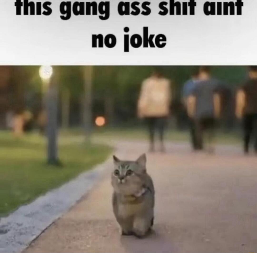 IS gang ass s al