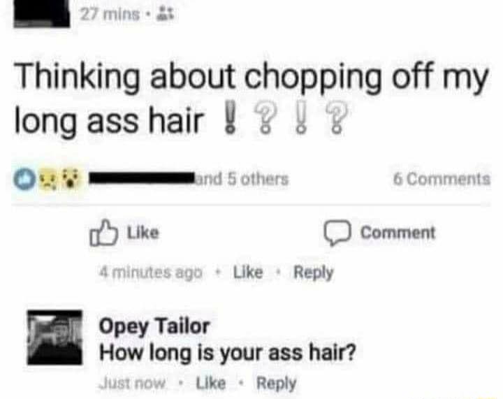Thinking about chopping off my long ass hair Oy oY ke D comment Opey Tailor How long is your ass hair Uke Reply