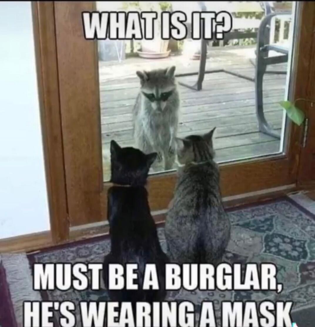 WHAT IS IT? MUST BE A BURGLAR, HE'S WEARING A MASK
