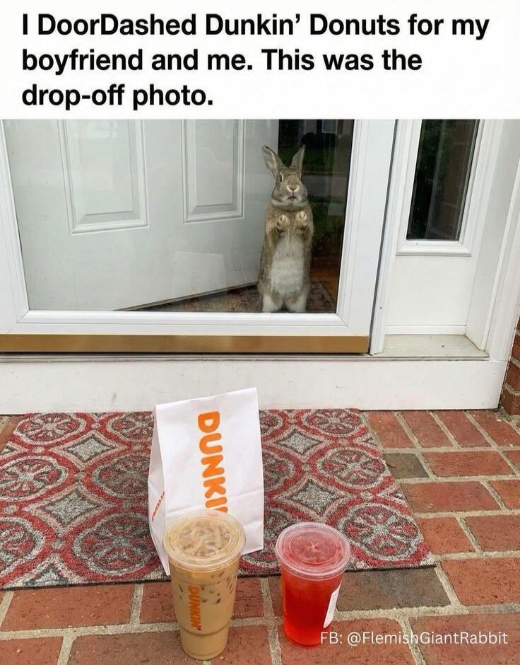 I DoorDashed Dunkin’ Donuts for my boyfriend and me. This was the drop-off photo.