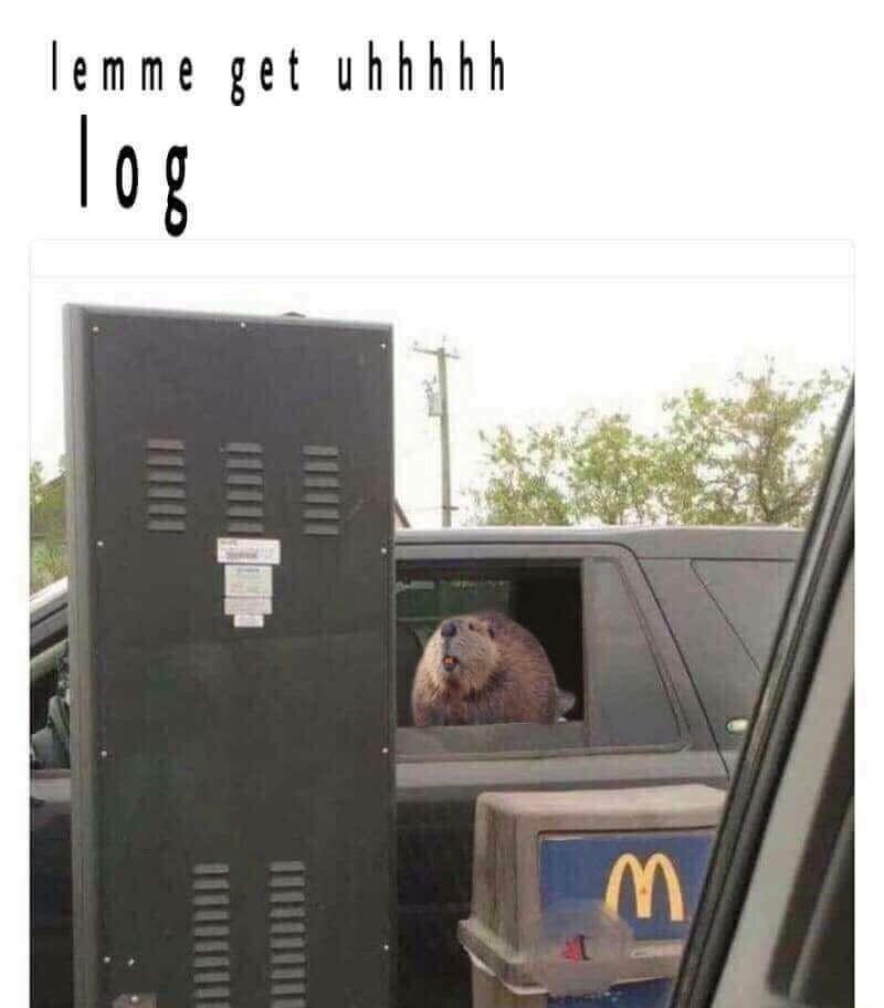 lemme get uhhhhh log