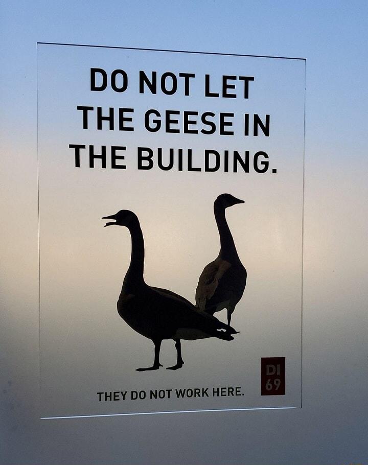 2 DO NOTLET THE GEESE IN THE BUILDING