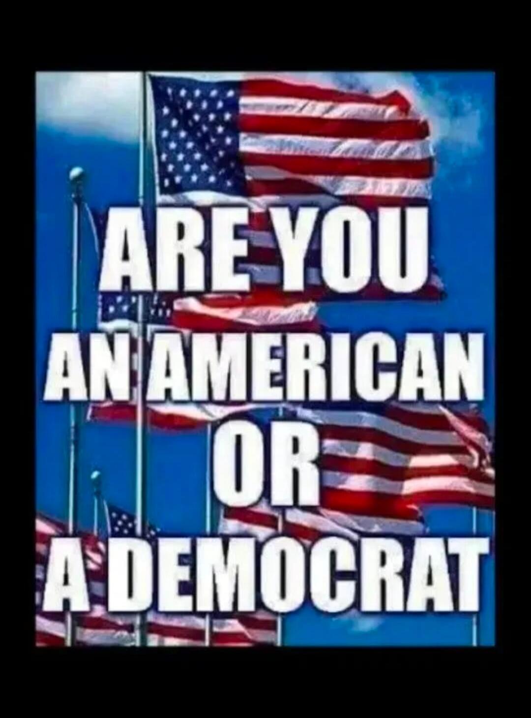 ARE YOU AN AMERICAN OR A DEMOCRAT
