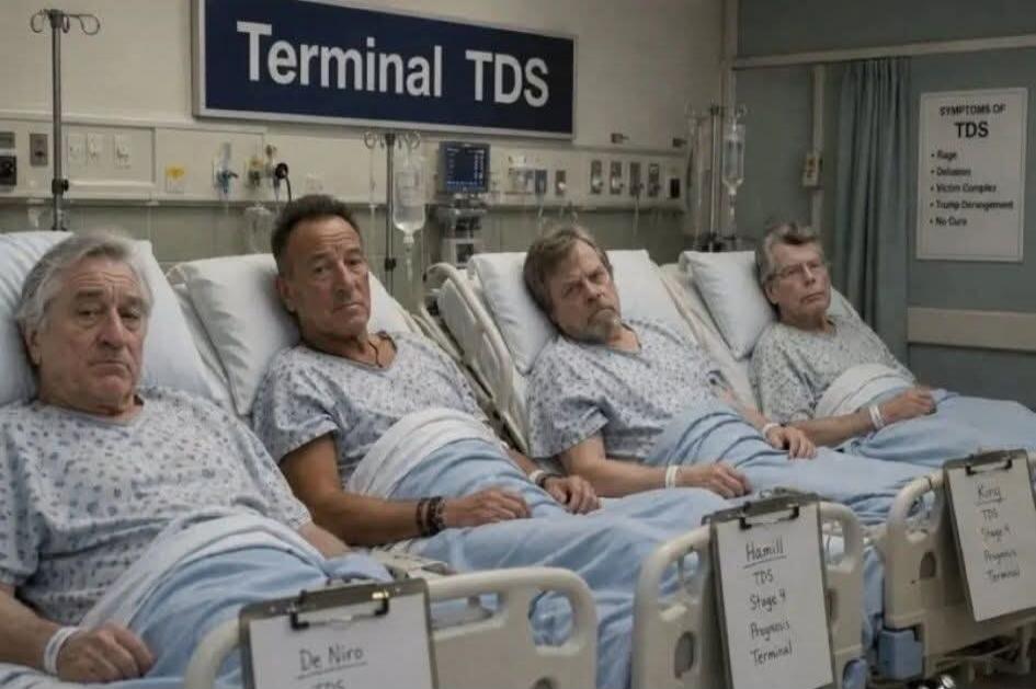 Terminal TDS. Symptoms of TDS: Rage, Delusion, Victim Complex, Trump Derangement, No Cure. Patients: De Niro, Springsteen, Hamill, King. Diagnoses include TDS, Stage 9, Progress, Terminal.
