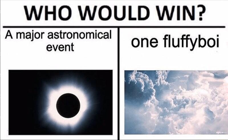 WHO WOULD WIN A maJorfrnotnomlcal one quffyboi