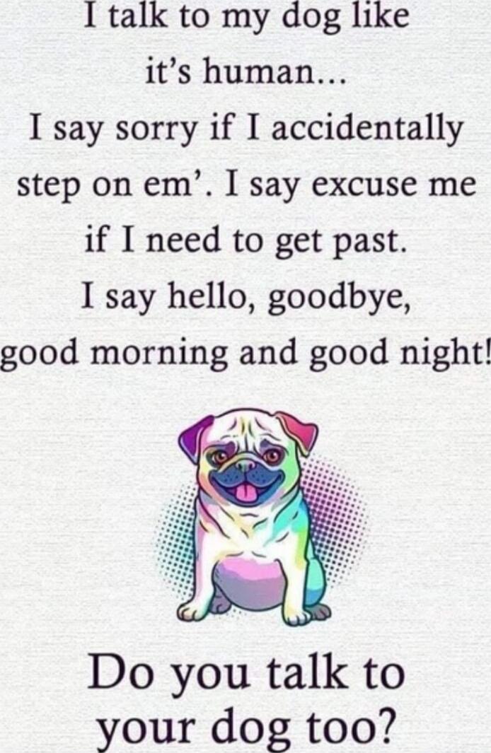 I talk to my dog like it's human... I say sorry if I accidentally step on em’. I say excuse me if I need to get past. I say hello, goodbye, good morning and good night! Do you talk to your dog too?